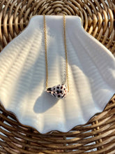 Load image into Gallery viewer, Hebrew Cone Shell Necklace