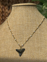 Load image into Gallery viewer, White + Gold Shark Tooth Necklace | Beach Jewelry: Basic Wire Wrap
