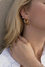 Load image into Gallery viewer, Delfina Earrings